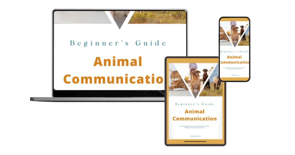 Beginner's Guide to Animal Communication E-Book