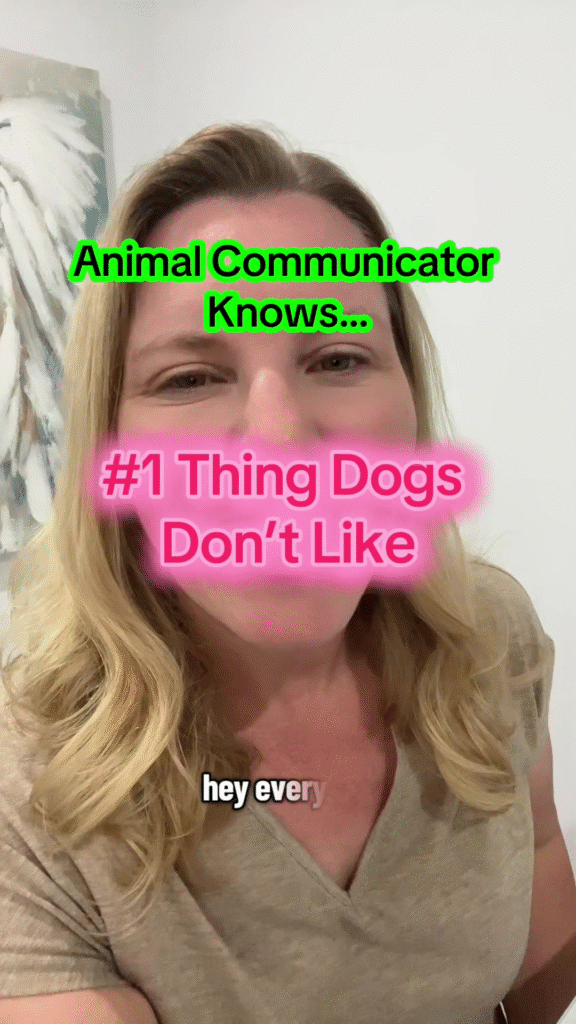 #1 Thing Dogs Don’t Like TikTok Thumbnail